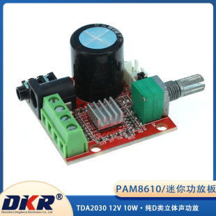 Pam8610 Mini Power Amplifier Board Tda2030 12V 10W Pure Class D Stereo Amplifier