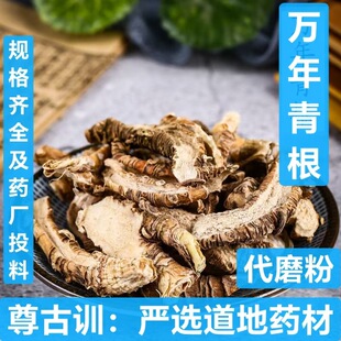 �f����� �Sβ�� �������� ����� �F����_�ڄ� �_�ڼ� �׺�܇