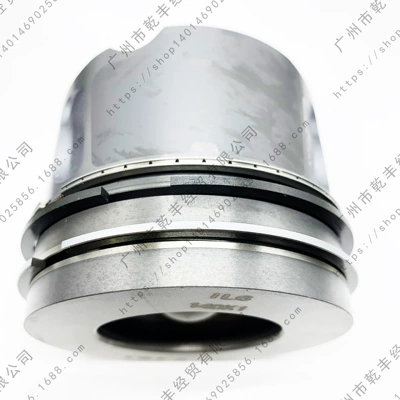 Piston, piston ring, piston pin Diesel 4.4 Piston