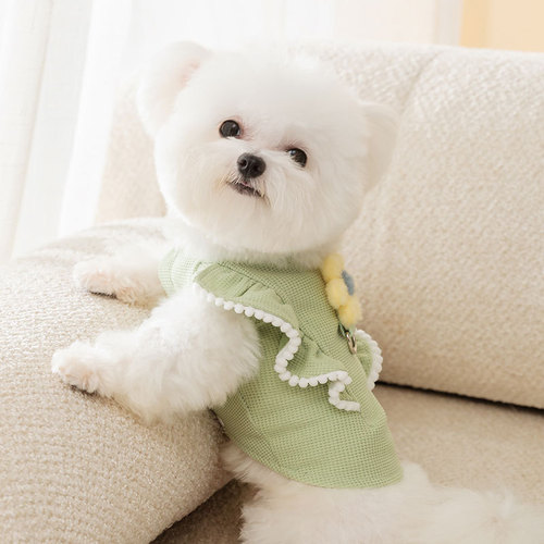 Autumn and winter dog clothes three-dimensional flower traction vest small and medium-sized dogs Teddy Bichon sweatshirt pet dog clothing
