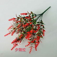 ޹²ϻ»ֲGֲԻ޹²ݻ뻨