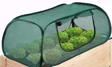 [식물커버 그린] 115*55*45