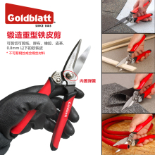 ����Goldblatt�FƤ��������늹�������Ƥ���̺�������F�z��|