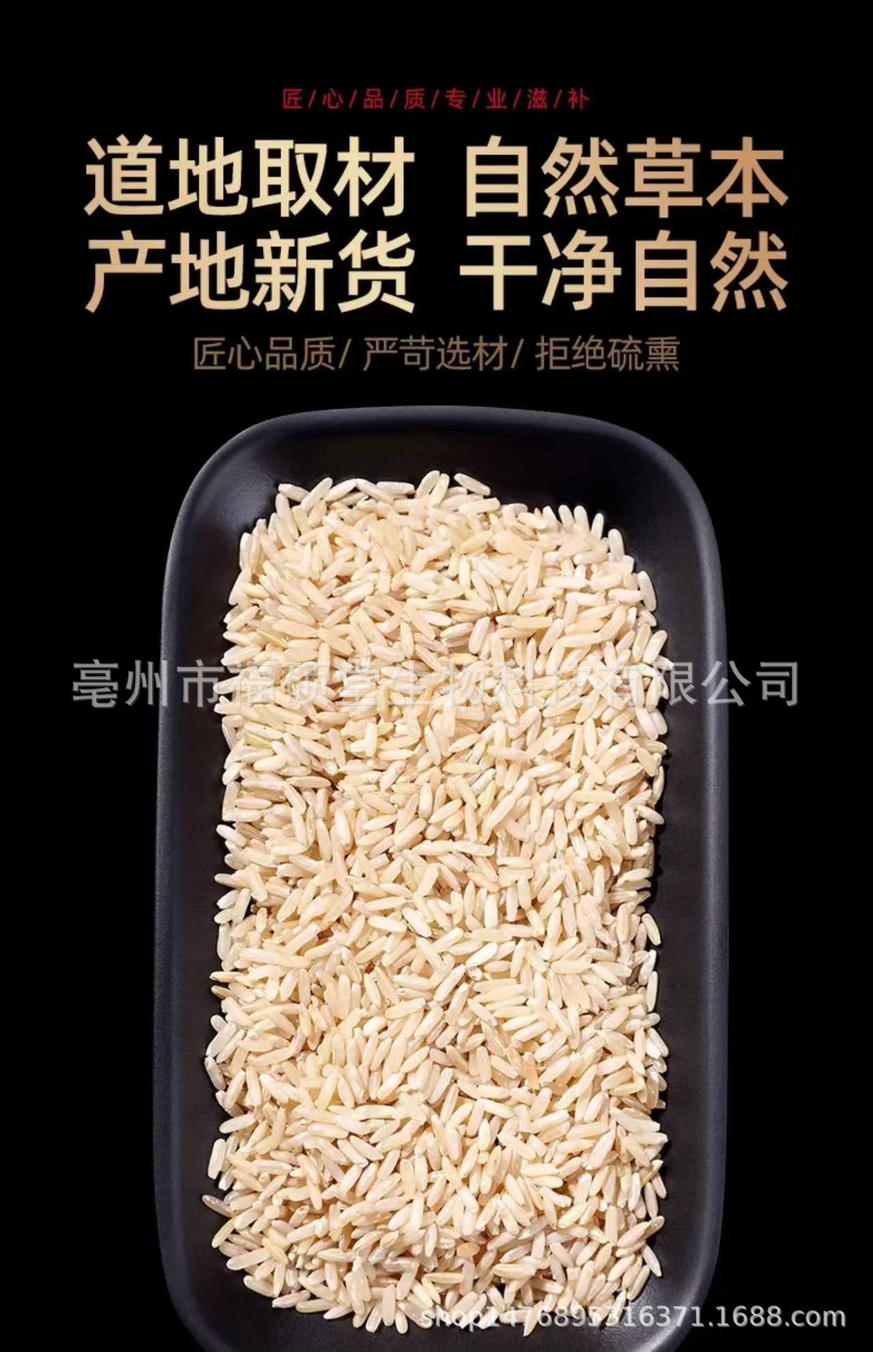 Japonica Rice (Oryza sativa) — Dried Food Grain for Congee & Daily Nourishment overview