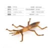 ZQ1681 Bamboo Worm 9.2g