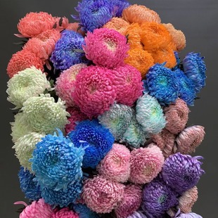 Yunnan Flowers Rich Peony Buds Colorfulful Blue and White Porcelain Absorbing Colorful Long Flowering Period Base Fresh Cut Flowers Wholesale