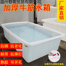 大号加厚牛筋塑料水箱长方形储水桶水产养殖方桶养鱼卖鱼牛筋浅盆