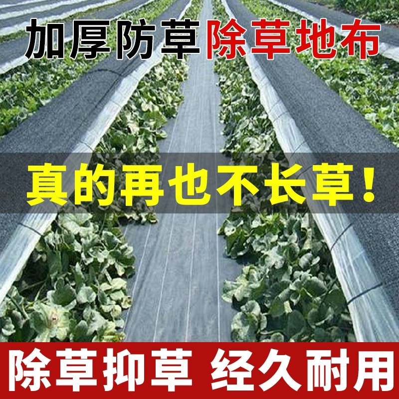 Черная тканая ткань дышащая и проницаемая вода PP анти-травяной ткани Сельскохозяйственный сад