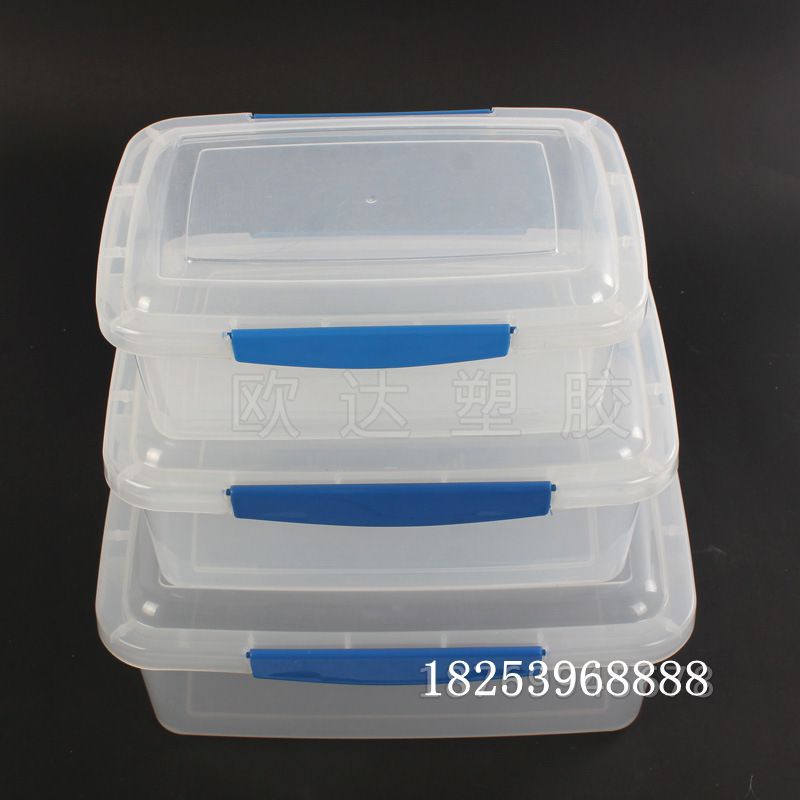 透明保鲜盒 两边带扣保鲜盒 冰箱储物盒 水果保鲜盒 粮食储物盒