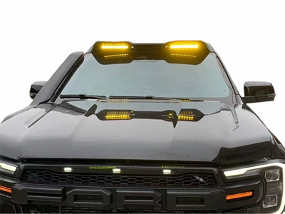 pedal special welcome pedal – Dekorativ pedal başlıqları - ranger-roof-spotlight-without-remote-control