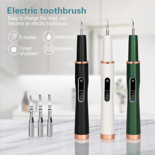 English packaging ultrasonic electric dental scaler calculus remover cleaning tartar whitening dental scaler dental scaler