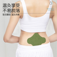 Nanjing Tongren Tang Sixie Qiankun mugwort lumbar support patch, waist and joint patch, moxibustion patch, mugwort moxibustion patch, lumbar patch