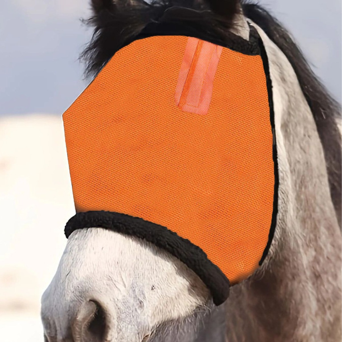 주황색