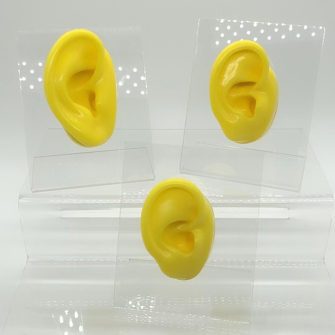 [a Ear Type] Soft Silicone Human Ear Model Ear Cleaning Teaching Medical Display Supplies Earrings Headset Fake Ear display picture 1