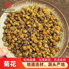 黄菊花菊花茶散装小野菊花花干泡水新货非黄山贡菊500克药食
