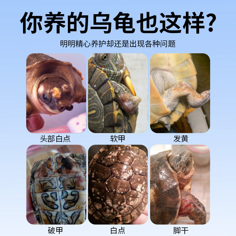 护龟液观赏龟防腐甲水族爬宠用品异宠蒙白眼腐皮烂甲脚厌食护理液|undefined
