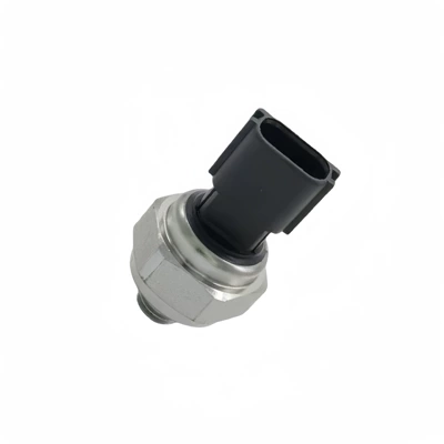 Automotive Sensors for Automobiles 497636N200