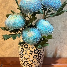 ໨ĵrϻֱlrлL߲ʲ廨