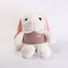 皇冠兔子公仔毛絨玩具大耳朵女友生日礼物流氓免长毛绒女友礼物