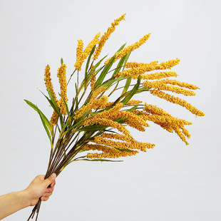 �������С���������֦�ٻ��r�������������Ȼ��@�L�b�����