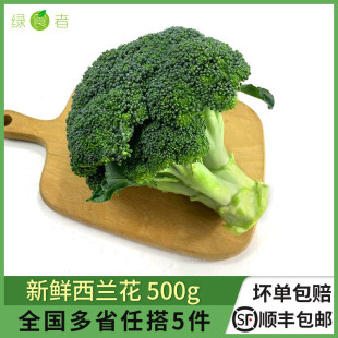 ���r���m��500g �����໨�˾G�������{��Ҭ�˕r���߲� �M5�����]