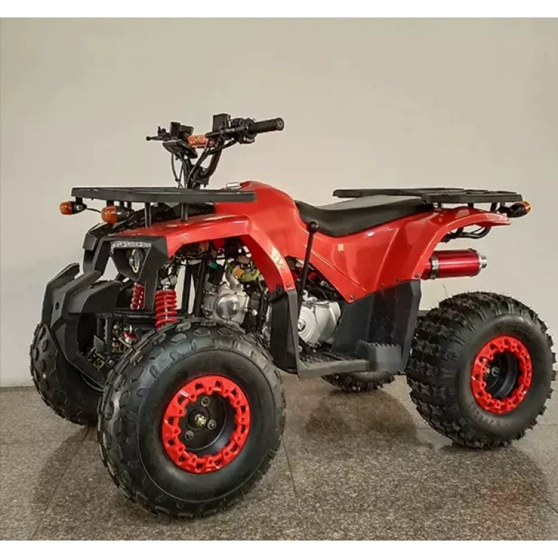 Арктический день Экспорт CE Сертификация 125cc маленький бык полный привод квадроцикл большой внедорожный мотоцикл ATV горный велосипед
