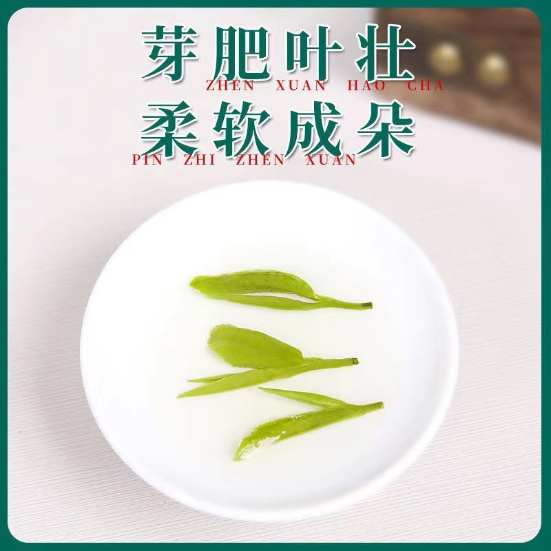 龙井茶叶2025新茶绿茶浓香型浙江散装口粮春茶500g自己喝yn|undefined