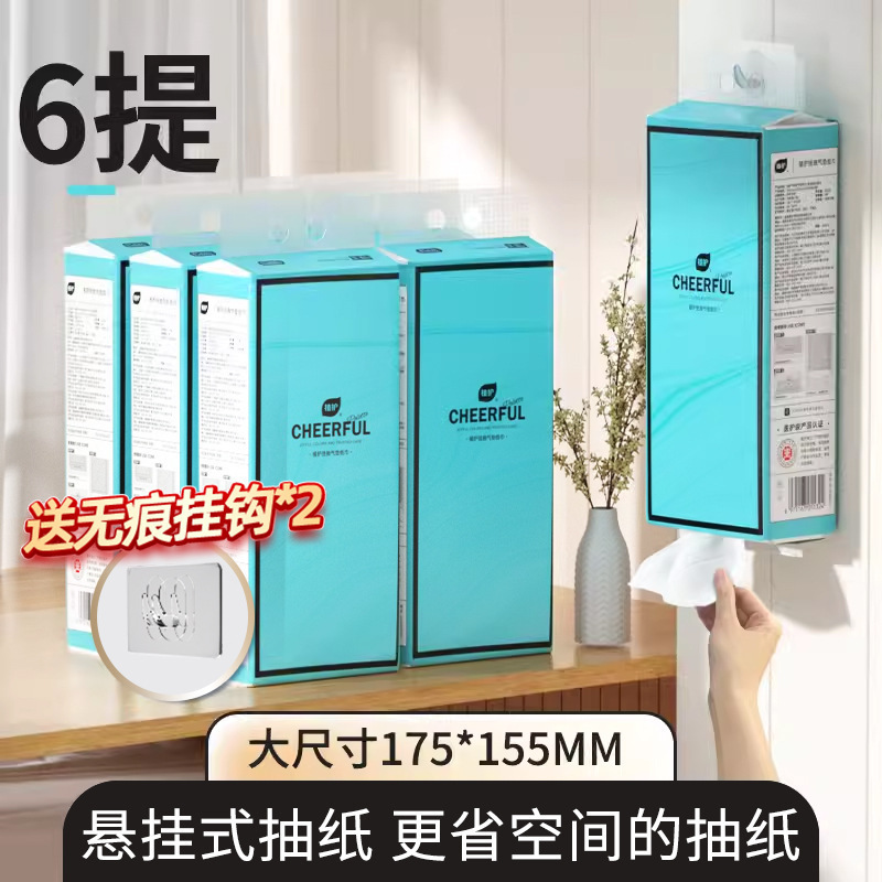 [6개/박스] 가정용 포장, 무료 이중 후크 1개