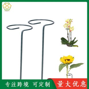 Plant Potted Flower Support Rod Wrought Iron Climbing Frame Fixed Flower Stand Bracket Phalaenopsis Climbing Vine Flower Pot Stand