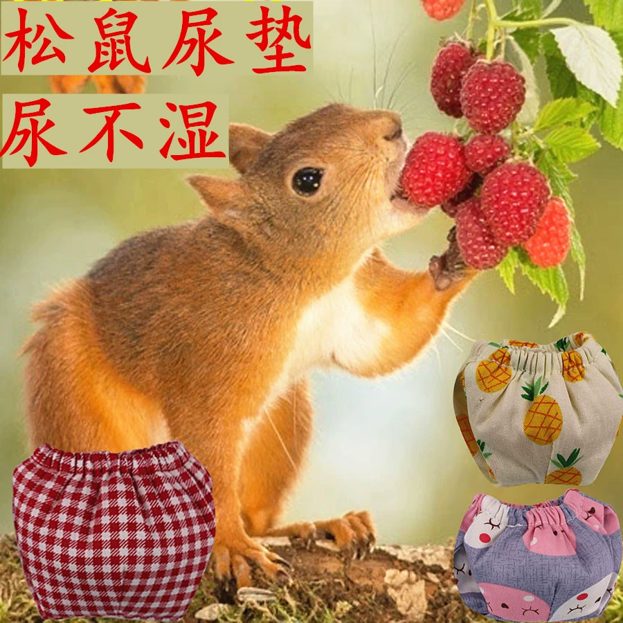 Сурок белка смена подгузника подгузник принадлежности для прогулок тренировочная одежда Чистка абсорбирующие принадлежности для кормления игрушки