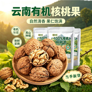 ���5�ﱡƤ�ЙC������������������҈Թ���ʳ����������Ƥ����