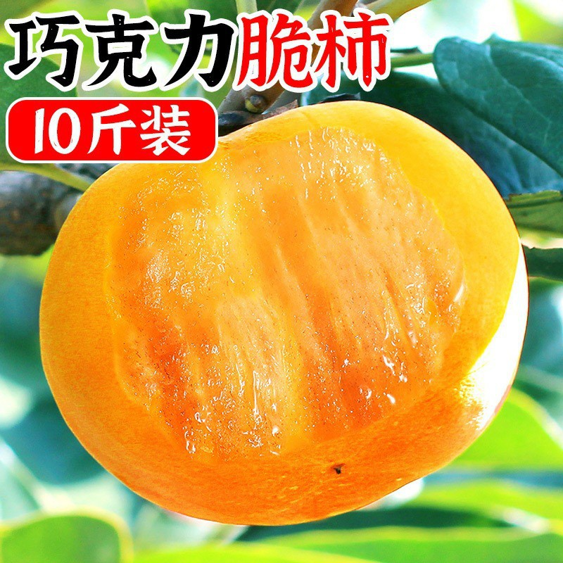 [selected]Guilin Persimmon fresh fruit Season fruit Persimmon Hard persimmon chocolate Persimmon