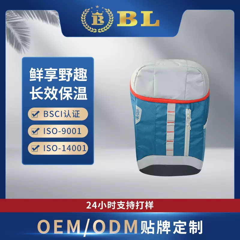 德国外贸双肩冰包双肩背奶包牛津布保温包户外野餐便当包实力厂家
