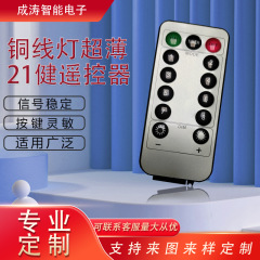 銅線ライトは超薄型21健リモコン付きです。