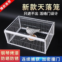 天落籠の屋外の家庭用屋根には、鳩籠の活絡が入っていないだけで、鳩の自動ドアに鳩の神器が入っている