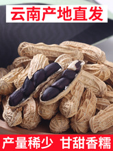 ؛ϺڻԭζնخaƷNƤl