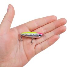 �O�����l·���D���Z����ˮ��ϵ֮�ֹ������U�P3.5g4.5cm�R���N��