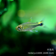 �Ϻ��Ꭷ�^�p�~Ξ���x���~ �ݸ�Ⱥ���~ �����M���~  �߶˟��~