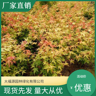 ���������l�� ���󃞻�Ų���ʘ��� ���^�쾰��·�@�ֹ��̾G����