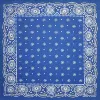 Blue snowflake