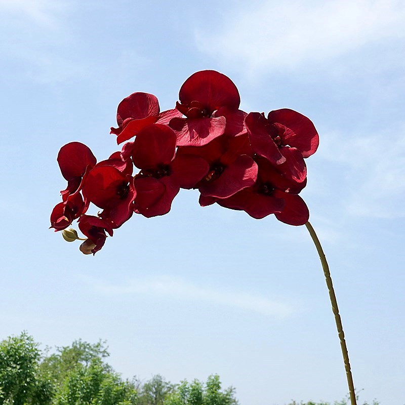 DSC04921.JPG