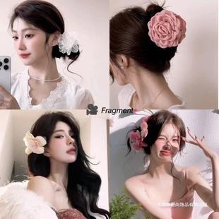 Cute hairgrip, crab pin, hair accessory, hairpins