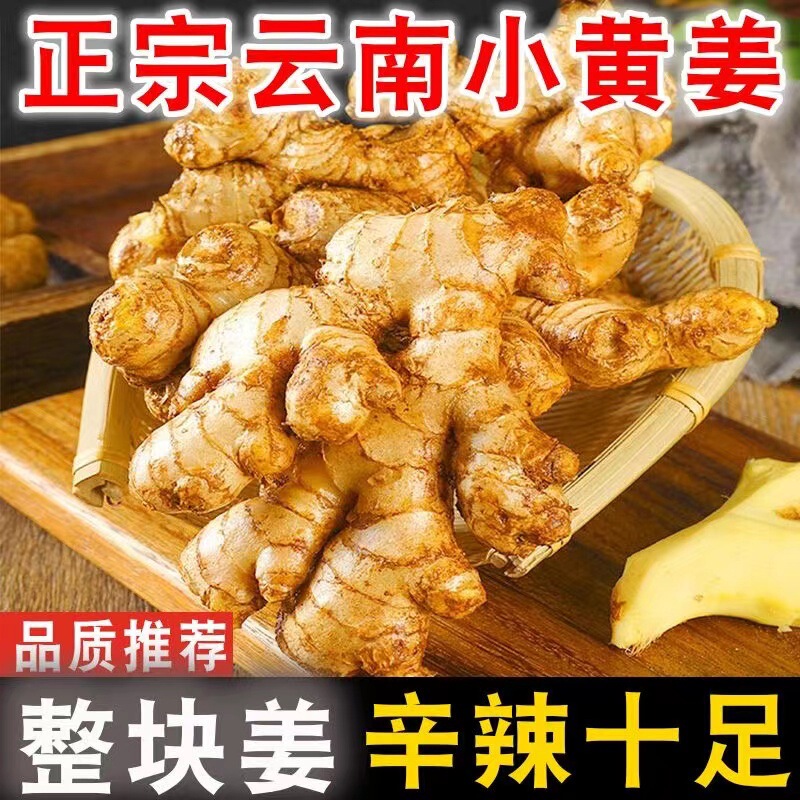 New Ginger, Authentic Small Turmeric, Freshly Dug Ginger, Yunnan Fresh Alpine Turmeric, Confinement Farm-Grown Tender Ginger, Red-Headed Ginger