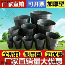 ��ľ�I�B������һ���Դ�������N���辰�Nֲ�ڰ�Ĥ�����Ѩ�P��