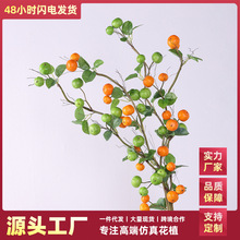 ��@�L������J�����p�@����С�ϹϹ��ٗl�r�Ҙ����޲廨�����b�