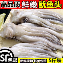 ���~����r���~�^���~צ�ك���ץ�~����F�����ʳ�����r���rˮ�a