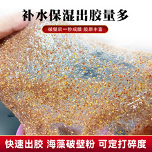 跨境海藻面膜1000克袋装美容院用补水保湿海藻颗粒破壁粉批发