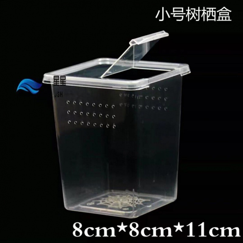 寄居蟹专用饲养爬宠饲养盒昆虫观察盒新手套装饲养缸寄居蟹套餐|undefined