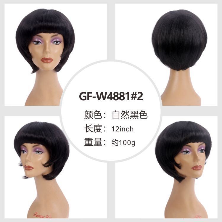 GF-W4881#2
