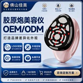电子美容仪;注氧仪;美容导入仪